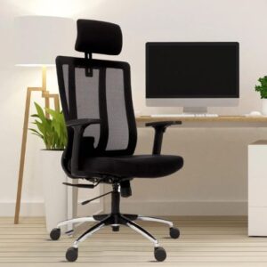 Office Chair for Work from Home with Adjustable Lumbar