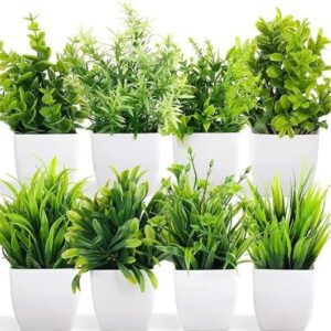 Read more about the article Bring Nature Indoors with Dekorly Artificial Potted Plants – Perfect for Any Space!